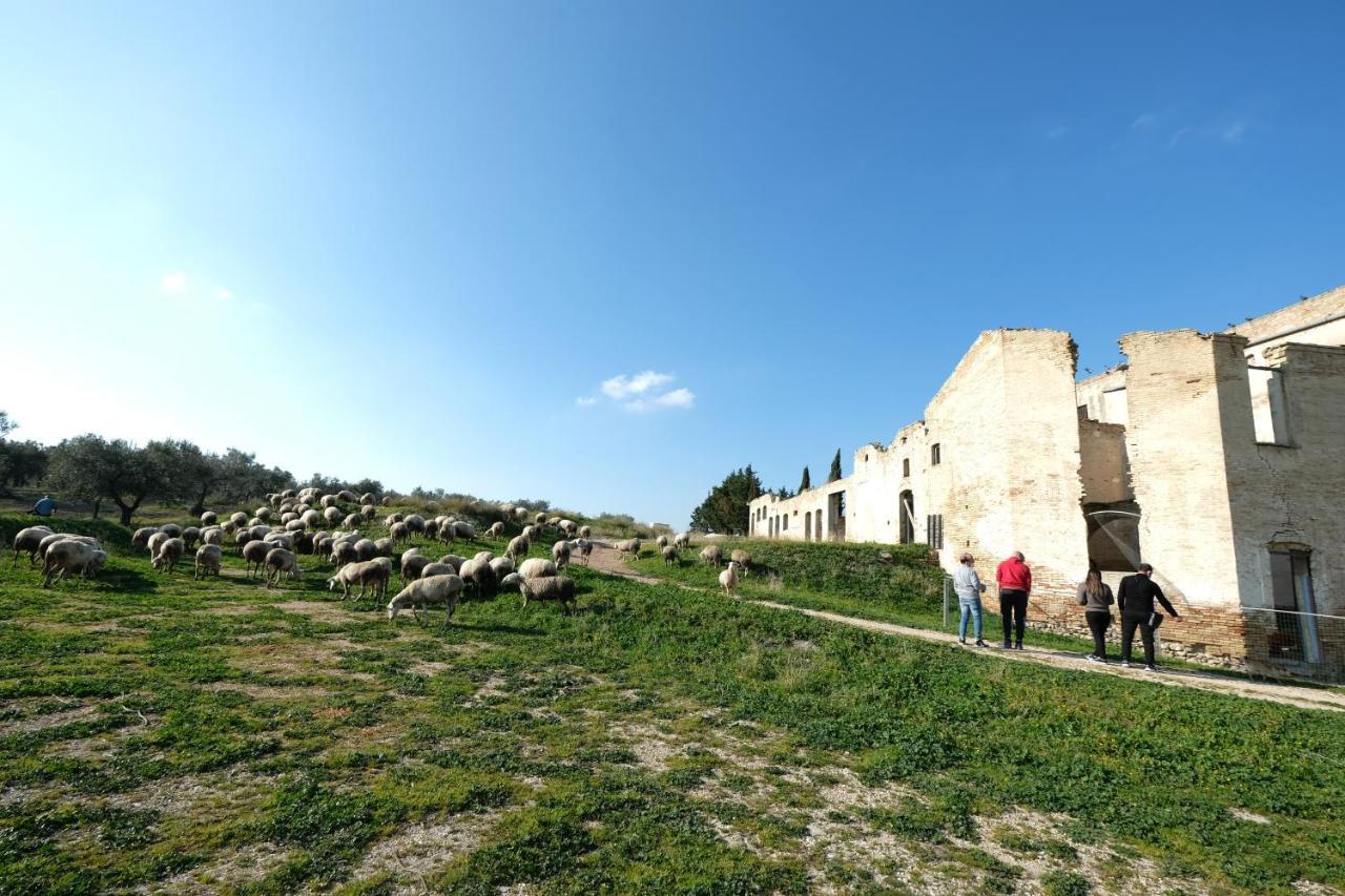 Masseria Sant'agapito Farm stay Lucera